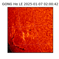gong - 2025-01-07T02:00:42