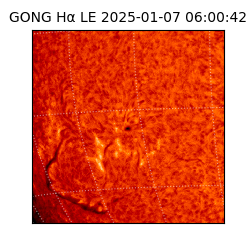 gong - 2025-01-07T06:00:42