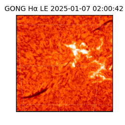 gong - 2025-01-07T02:00:42