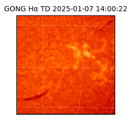 gong - 2025-01-07T14:00:22