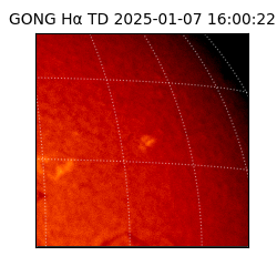 gong - 2025-01-07T16:00:22