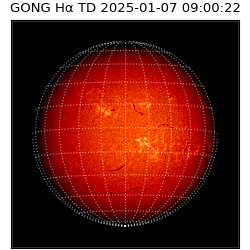 gong - 2025-01-07T09:00:22