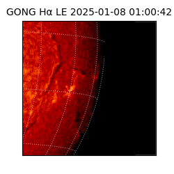 gong - 2025-01-08T01:00:42