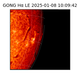 gong - 2025-01-08T10:09:42