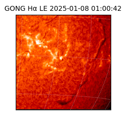 gong - 2025-01-08T01:00:42