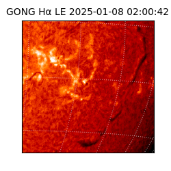 gong - 2025-01-08T02:00:42
