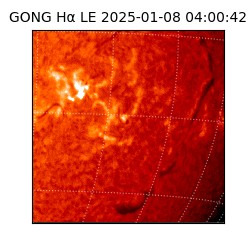 gong - 2025-01-08T04:00:42