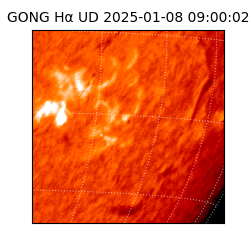 gong - 2025-01-08T09:00:02