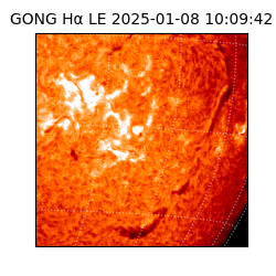 gong - 2025-01-08T10:09:42