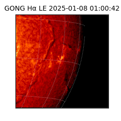 gong - 2025-01-08T01:00:42