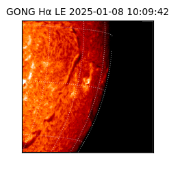 gong - 2025-01-08T10:09:42