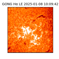 gong - 2025-01-08T10:09:42