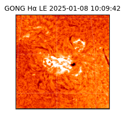 gong - 2025-01-08T10:09:42