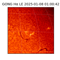 gong - 2025-01-08T01:00:42