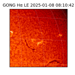 gong - 2025-01-08T08:10:42