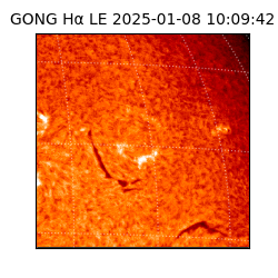 gong - 2025-01-08T10:09:42
