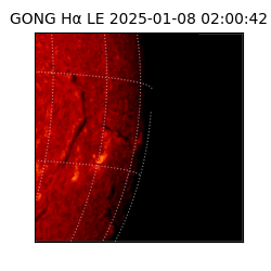 gong - 2025-01-08T02:00:42