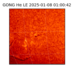 gong - 2025-01-08T01:00:42