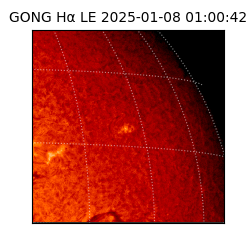 gong - 2025-01-08T01:00:42