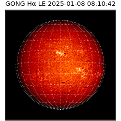 gong - 2025-01-08T08:10:42