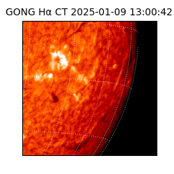 gong - 2025-01-09T13:00:42