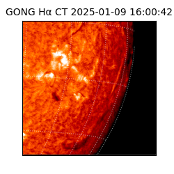 gong - 2025-01-09T16:00:42