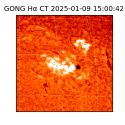 gong - 2025-01-09T15:00:42