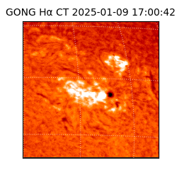 gong - 2025-01-09T17:00:42