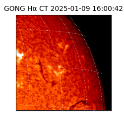gong - 2025-01-09T16:00:42
