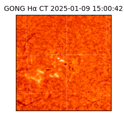 gong - 2025-01-09T15:00:42