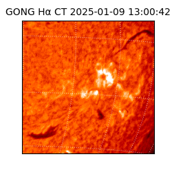 gong - 2025-01-09T13:00:42