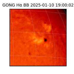 gong - 2025-01-10T19:00:02