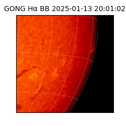 gong - 2025-01-13T20:01:02