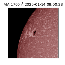saia - 2025-01-14T08:00:28.720000
