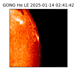 gong - 2025-01-14T02:41:42