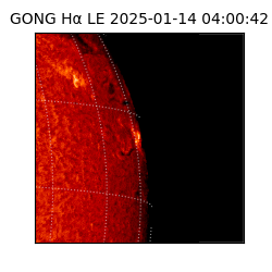 gong - 2025-01-14T04:00:42
