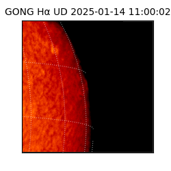 gong - 2025-01-14T11:00:02