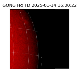 gong - 2025-01-14T16:00:22