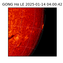 gong - 2025-01-14T04:00:42
