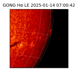 gong - 2025-01-14T07:00:42