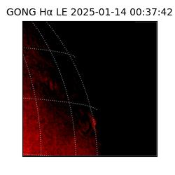 gong - 2025-01-14T00:37:42