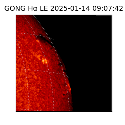 gong - 2025-01-14T09:07:42