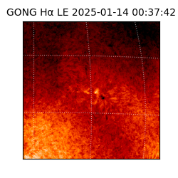 gong - 2025-01-14T00:37:42