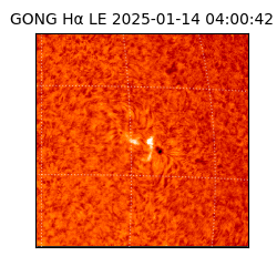 gong - 2025-01-14T04:00:42