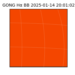 gong - 2025-01-14T20:01:02