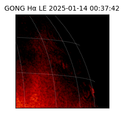 gong - 2025-01-14T00:37:42