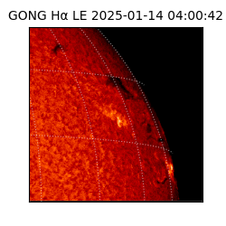 gong - 2025-01-14T04:00:42