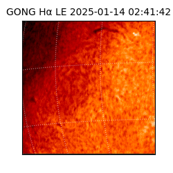 gong - 2025-01-14T02:41:42