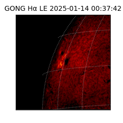 gong - 2025-01-14T00:37:42