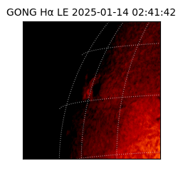 gong - 2025-01-14T02:41:42